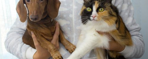 pexels-nadialovessingle-6821106